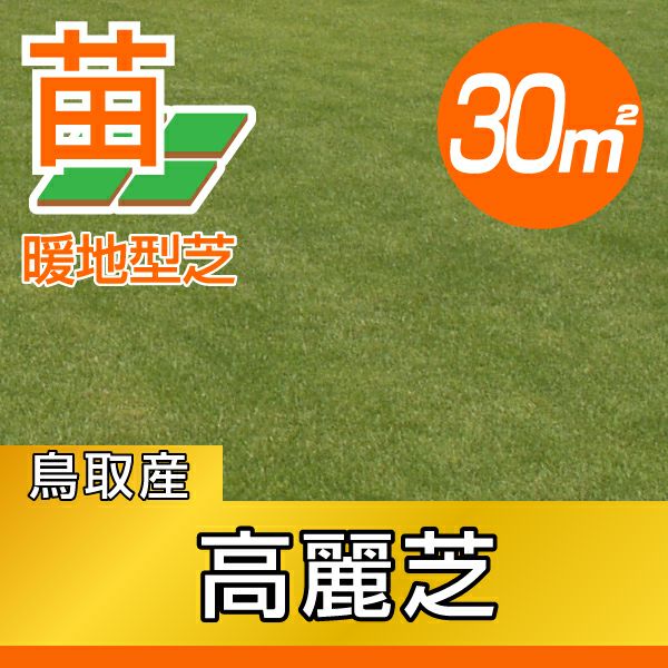 【3０平米 高麗芝】高麗芝