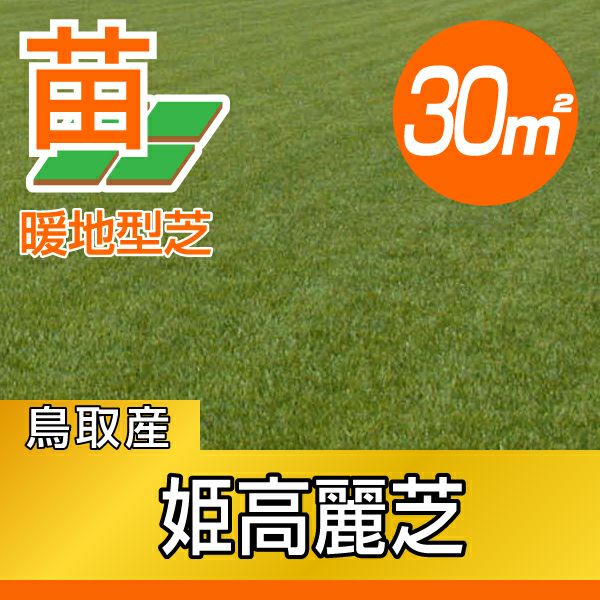 【30平米 姫高麗芝】姫高麗芝 