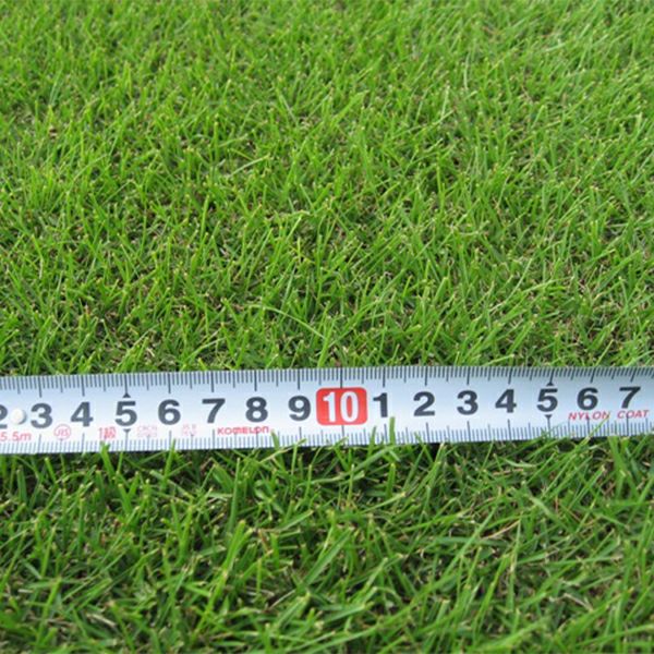 【30平米 姫高麗芝】姫高麗芝 