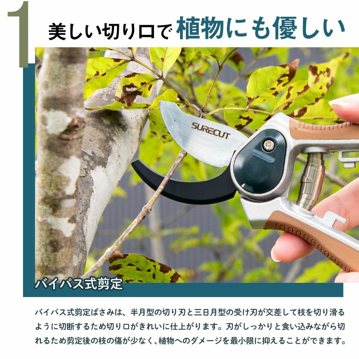 Kent&Stowe ケント＆ストウ ミニ剪定鋏(剪定ばさみ) バイパスタイプ MAX15mm 