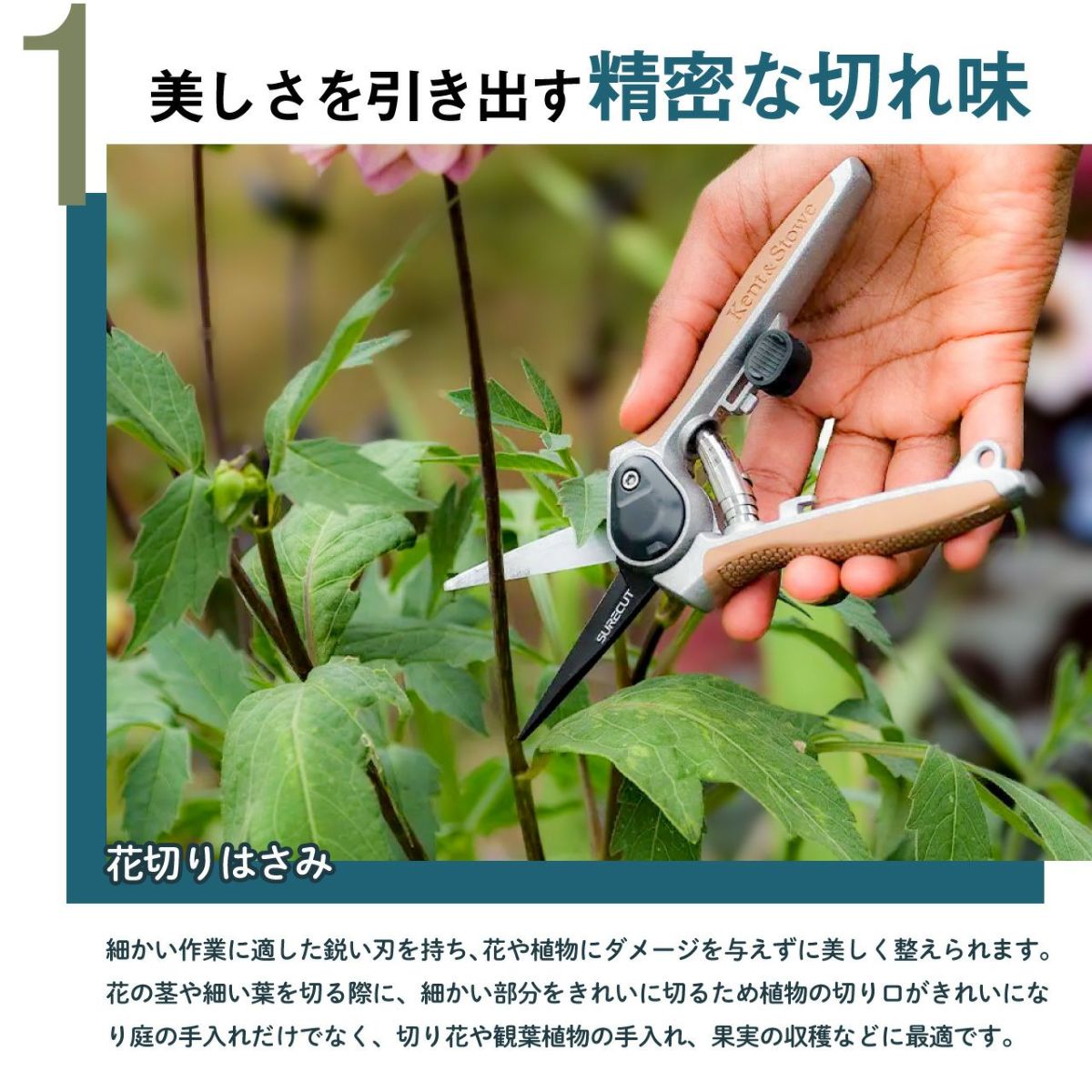 Kent&Stowe ケント＆ストウ フラワースニップ 花切りはさみ