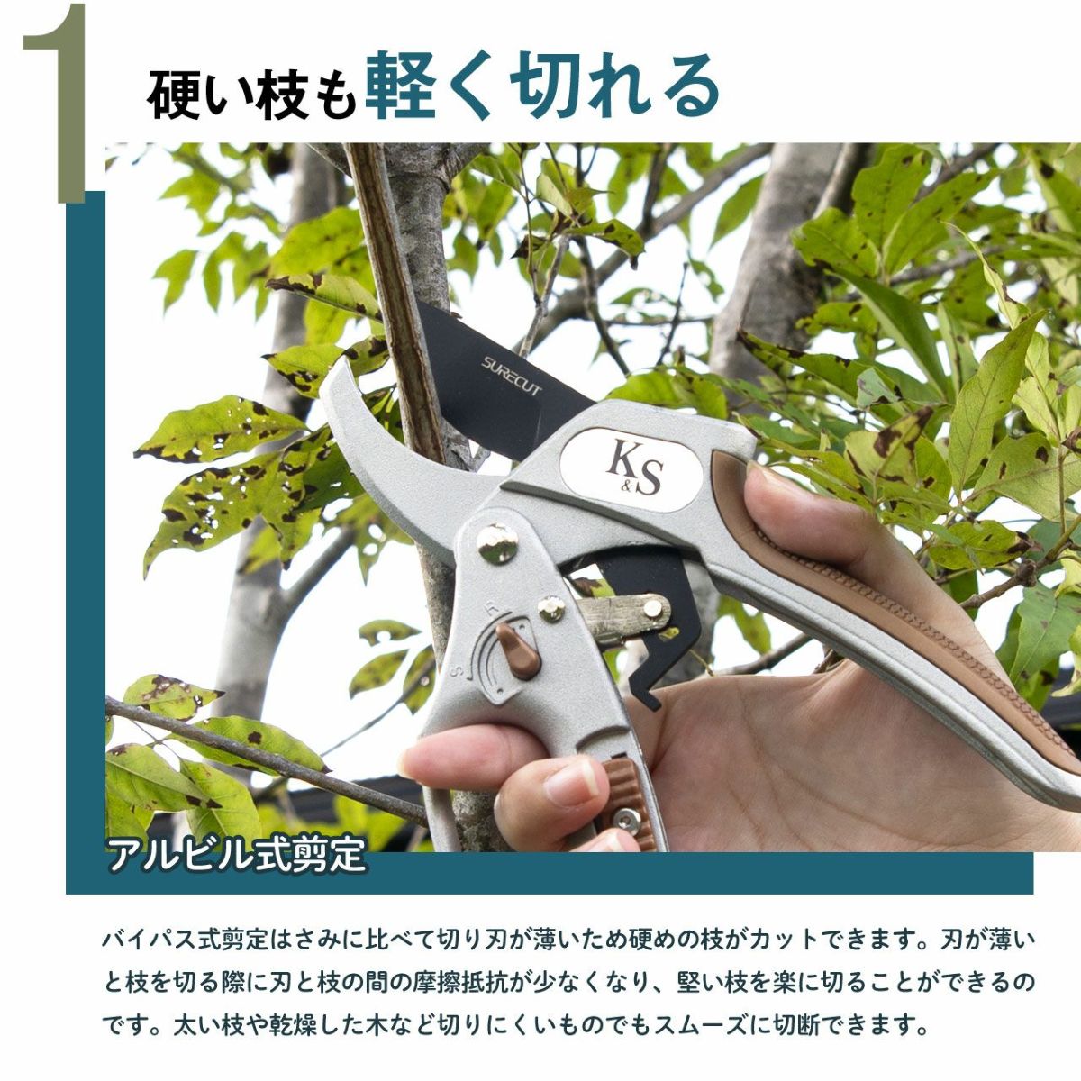  Kent&Stowe ケント＆ストウ ラチェット剪定鋏(剪定ばさみ) アンビルタイプ