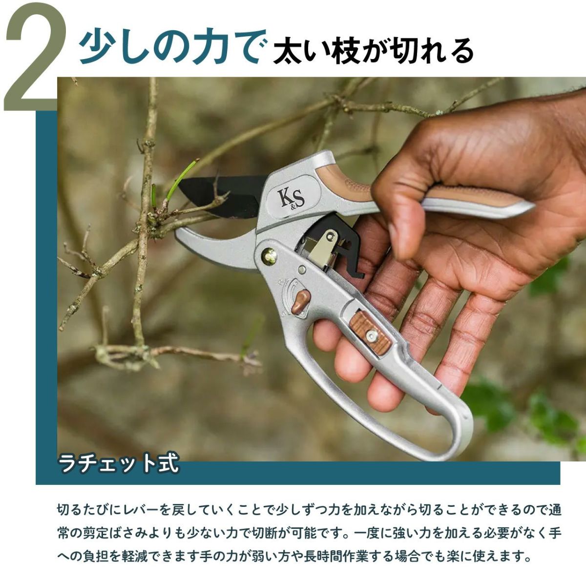  Kent&Stowe ケント＆ストウ ラチェット剪定鋏(剪定ばさみ) アンビルタイプ