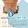  ピーターラビット ポットフィート