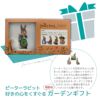  ピーターラビット ポットフィート