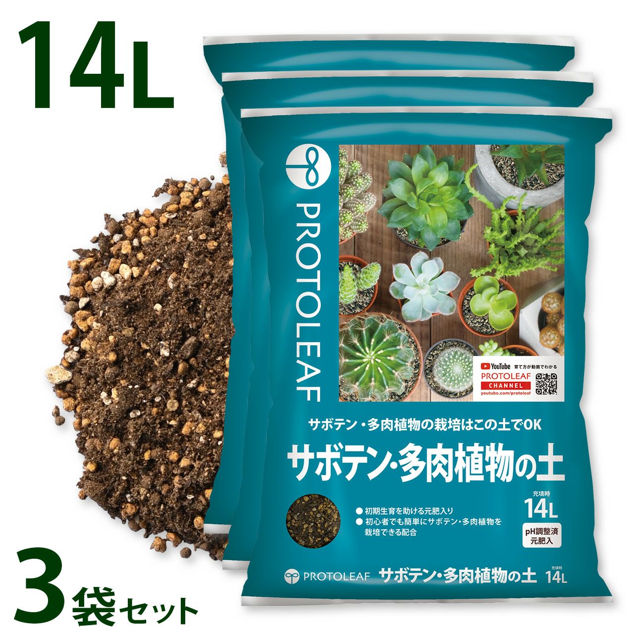 000000006381-01-l.jpg?t=