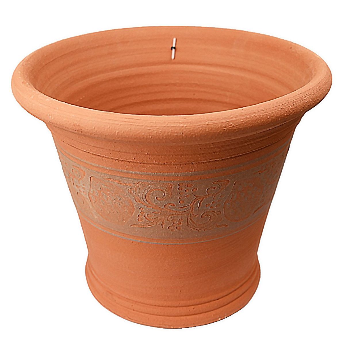 ウィッチフォード シチリアンレモン 直径31cm