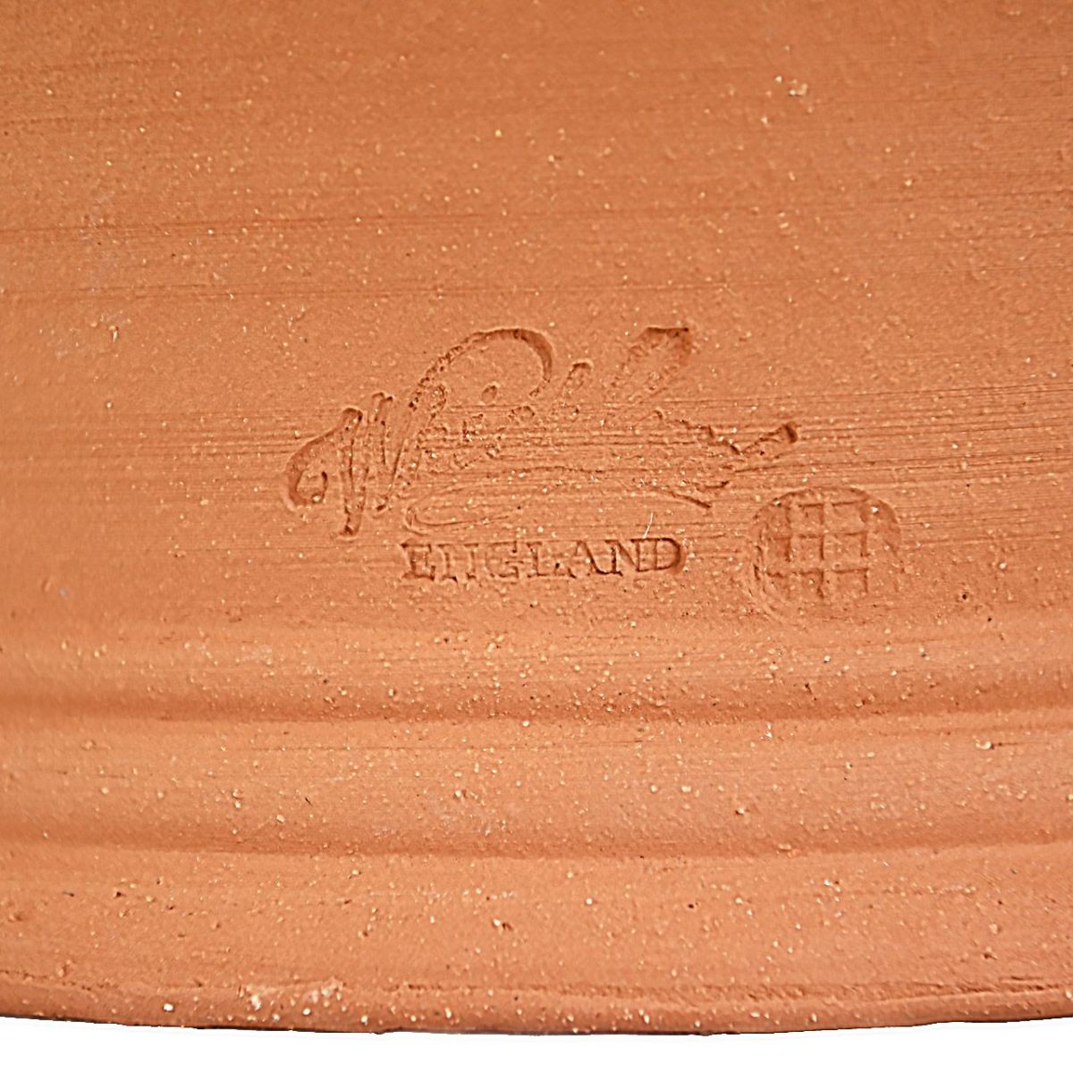 ウィッチフォード シチリアンレモン 直径31cm