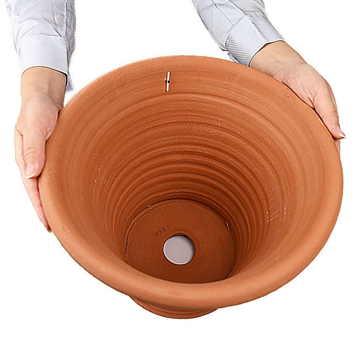 ウィッチフォード シチリアンレモン 直径31cm