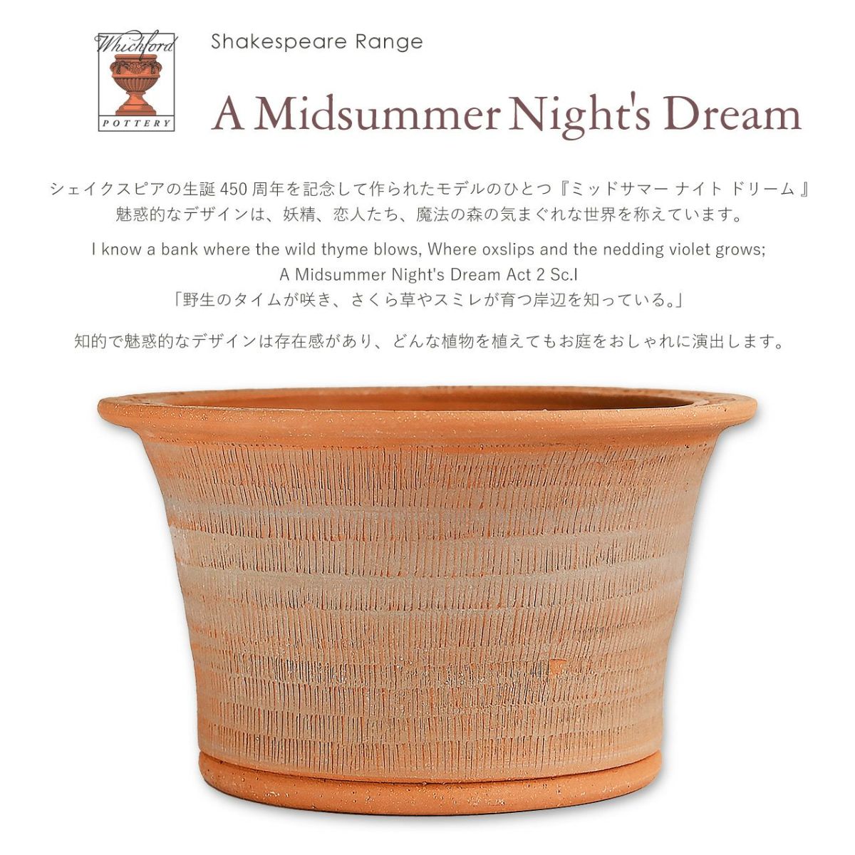 ウィッチフォード ミッドサマー ナイト ドリーム