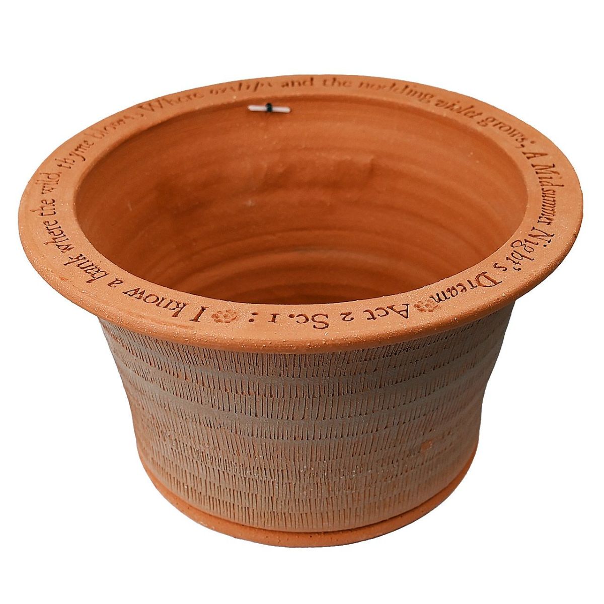 ウィッチフォード ミッドサマー ナイト ドリーム