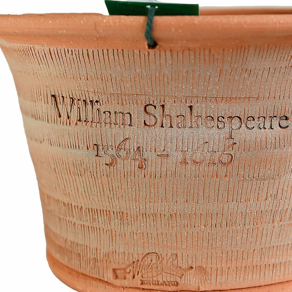 ウィッチフォード ミッドサマー ナイト ドリーム