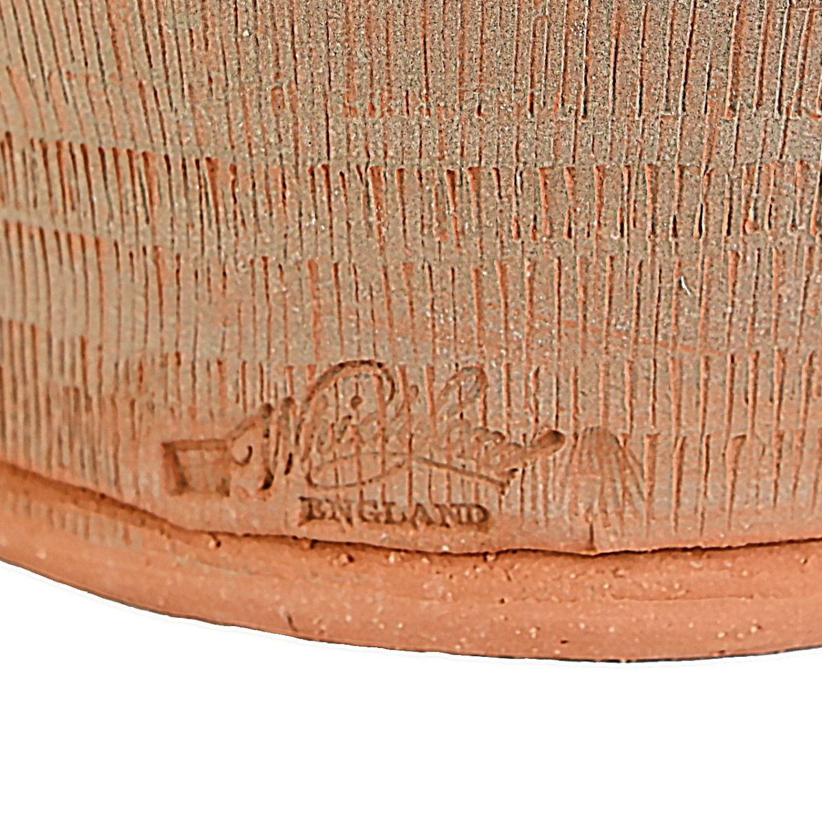 ウィッチフォード ミッドサマー ナイト ドリーム