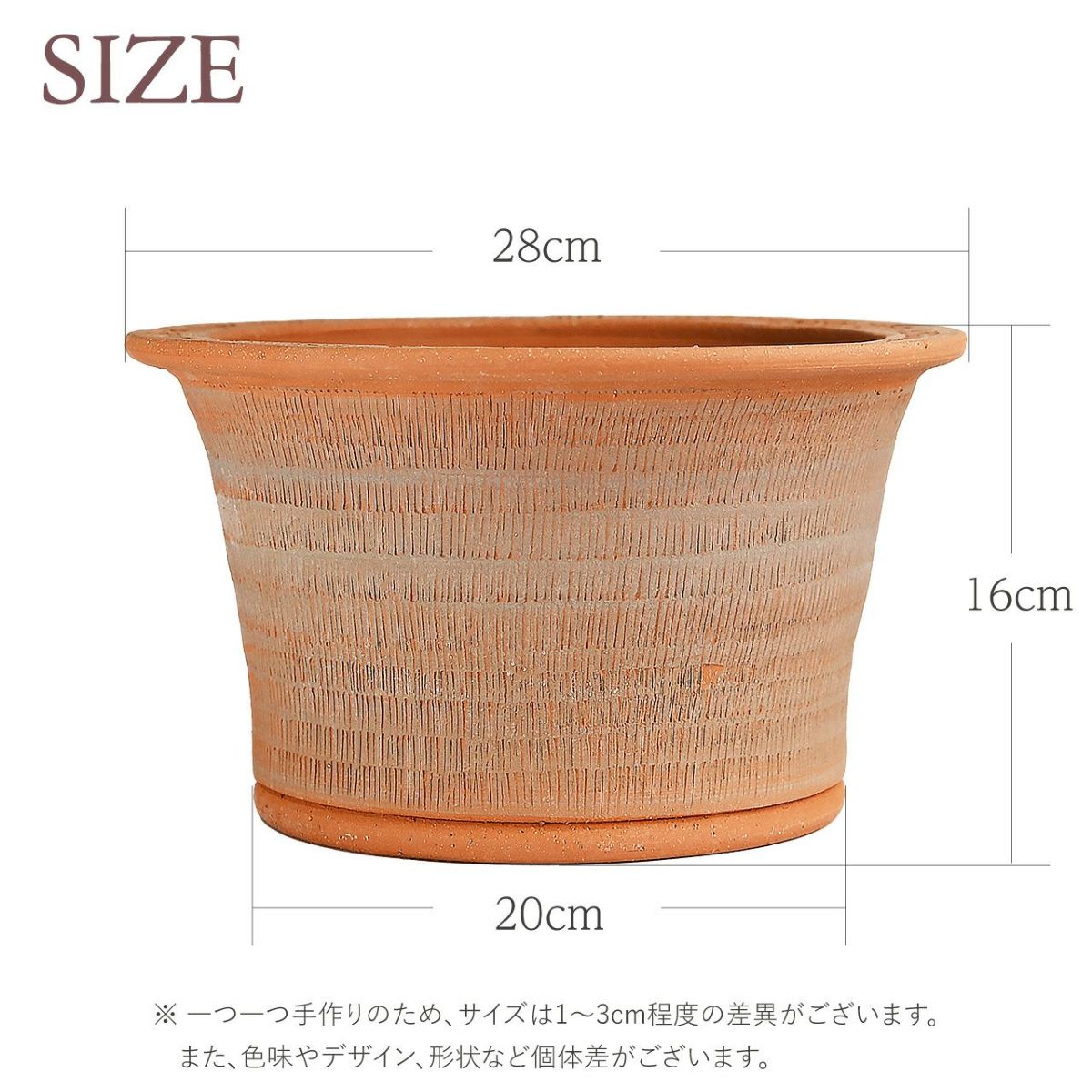 ウィッチフォード ミッドサマー ナイト ドリーム