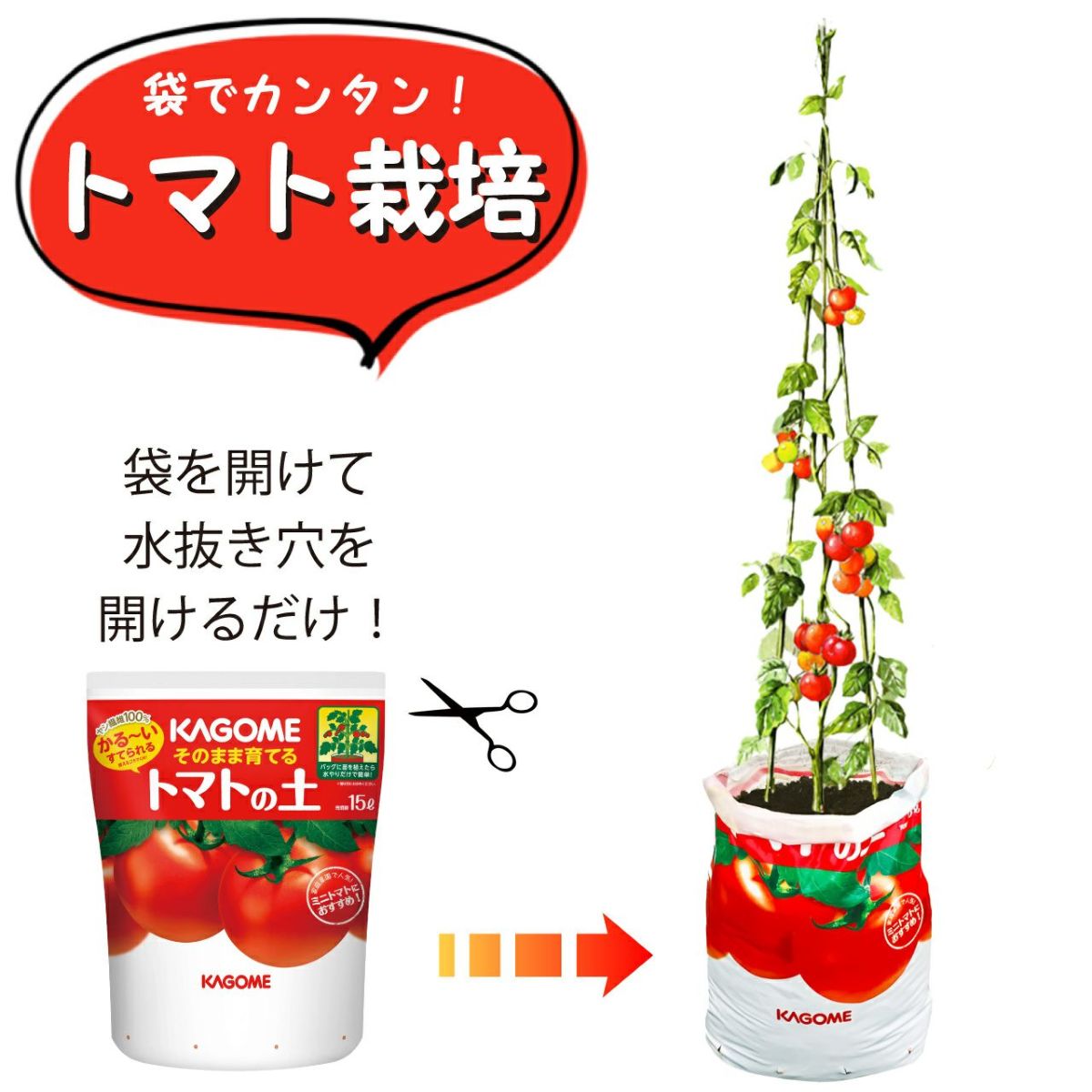 プロトリーフ トマトの土＆ニチカン トマトの支柱 180cm