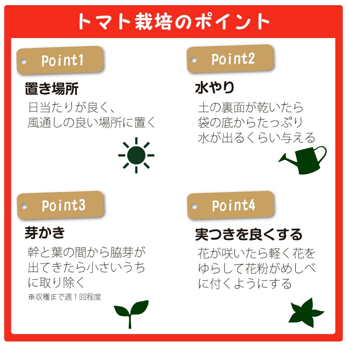 プロトリーフ トマトの土＆ニチカン トマトの支柱 180cm