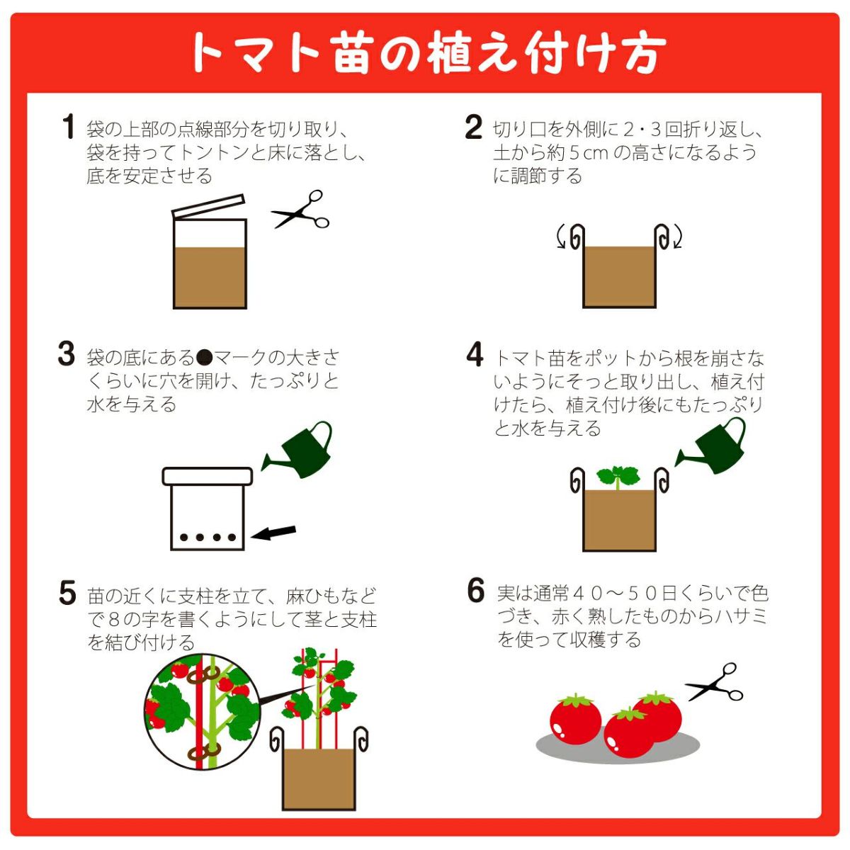 プロトリーフ トマトの土＆ニチカン トマトの支柱 180cm