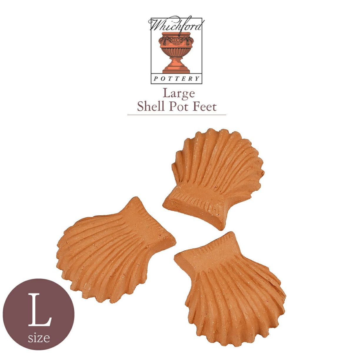 ウィッチフォード ポットフィートシェル 貝殻 Lサイズ
