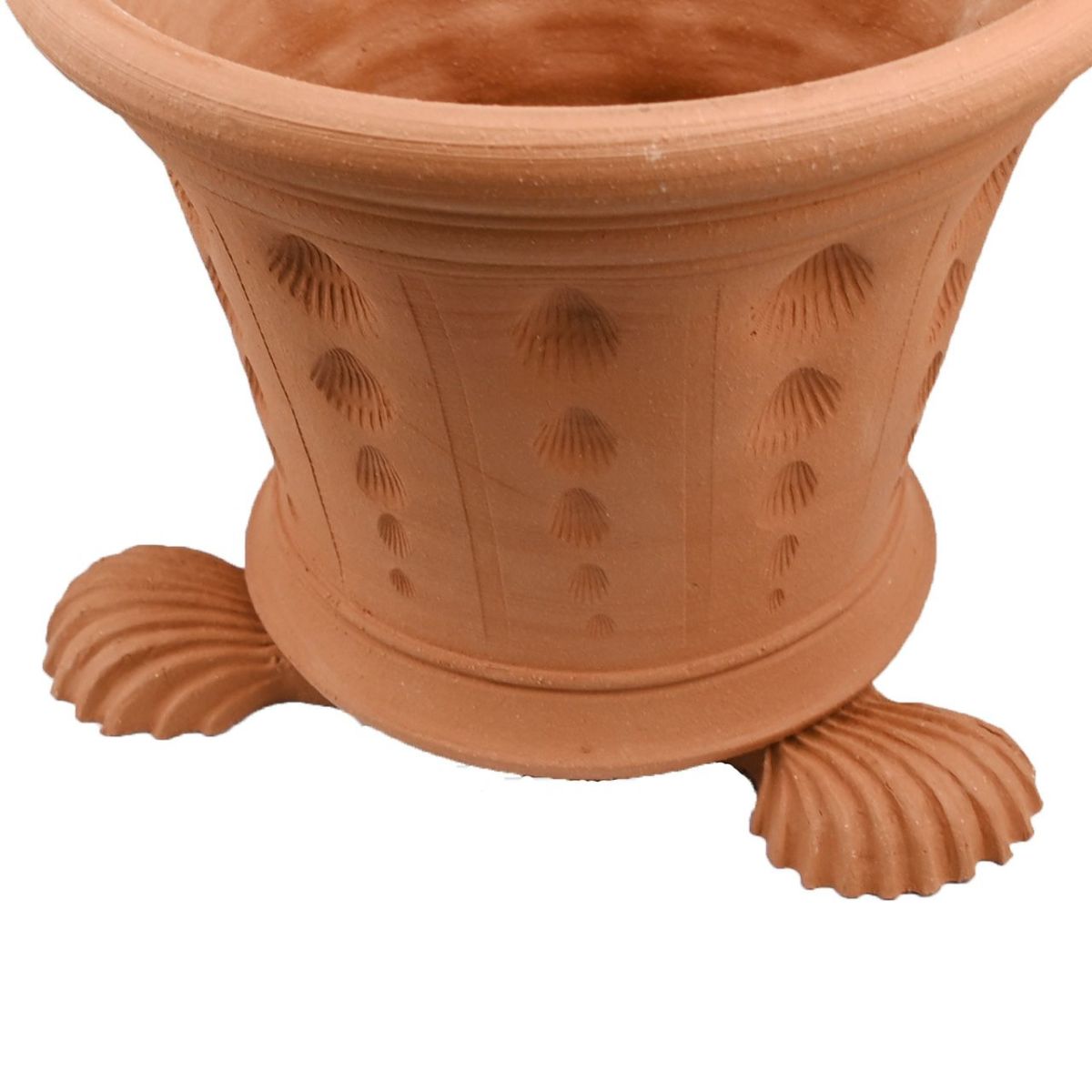 ウィッチフォード ポットフィートシェル 貝殻 Lサイズ