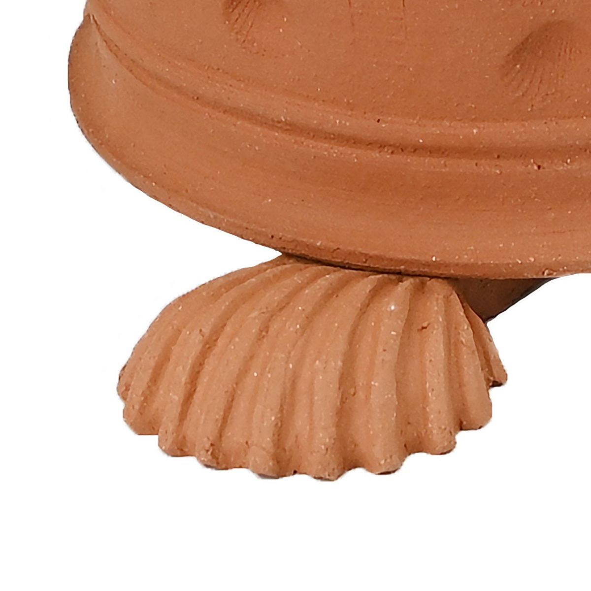 ウィッチフォード ポットフィートシェル 貝殻 Lサイズ