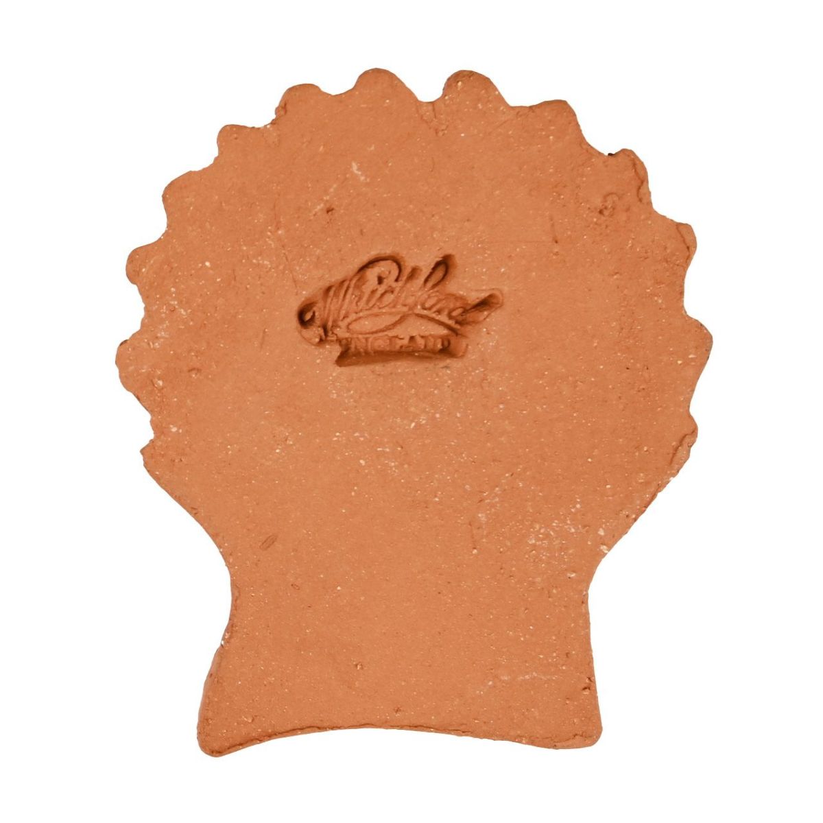 ウィッチフォード ポットフィートシェル 貝殻 Lサイズ