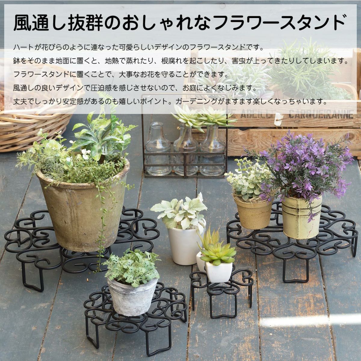 サンカ のせるんです350