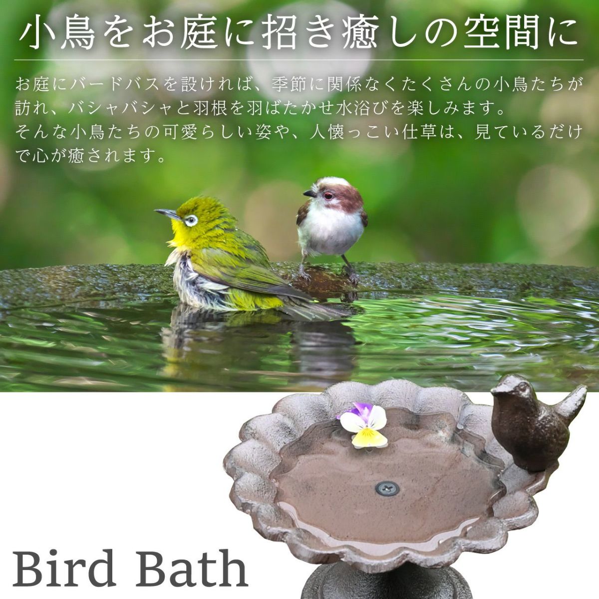 バードバス 