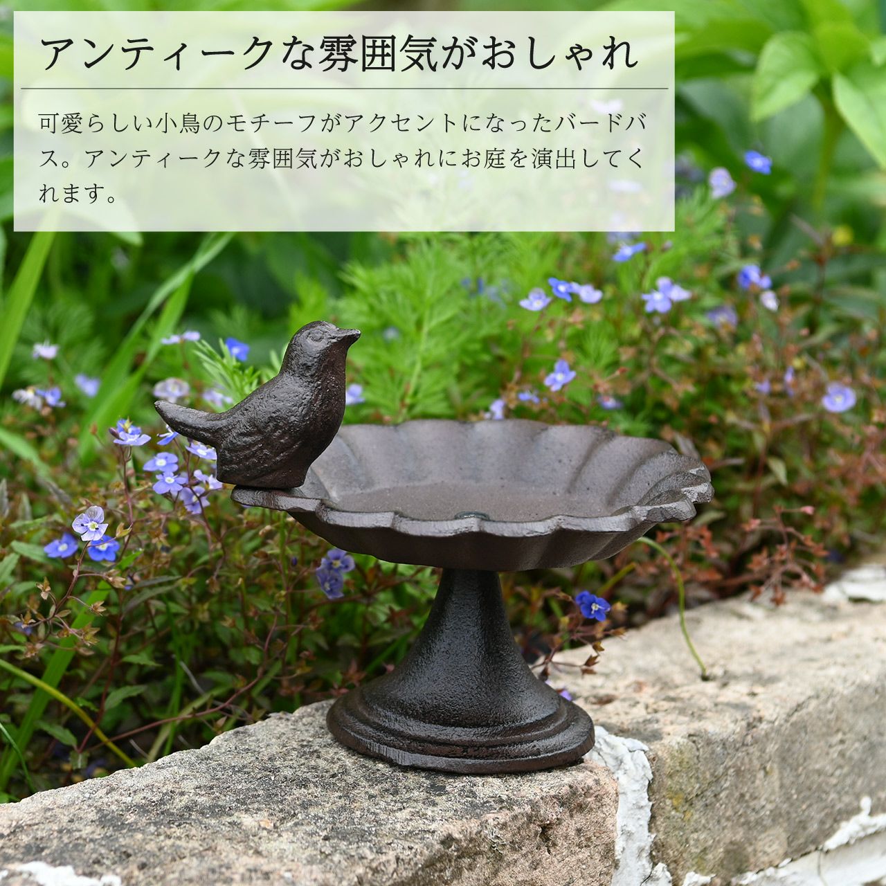 バードバス 
