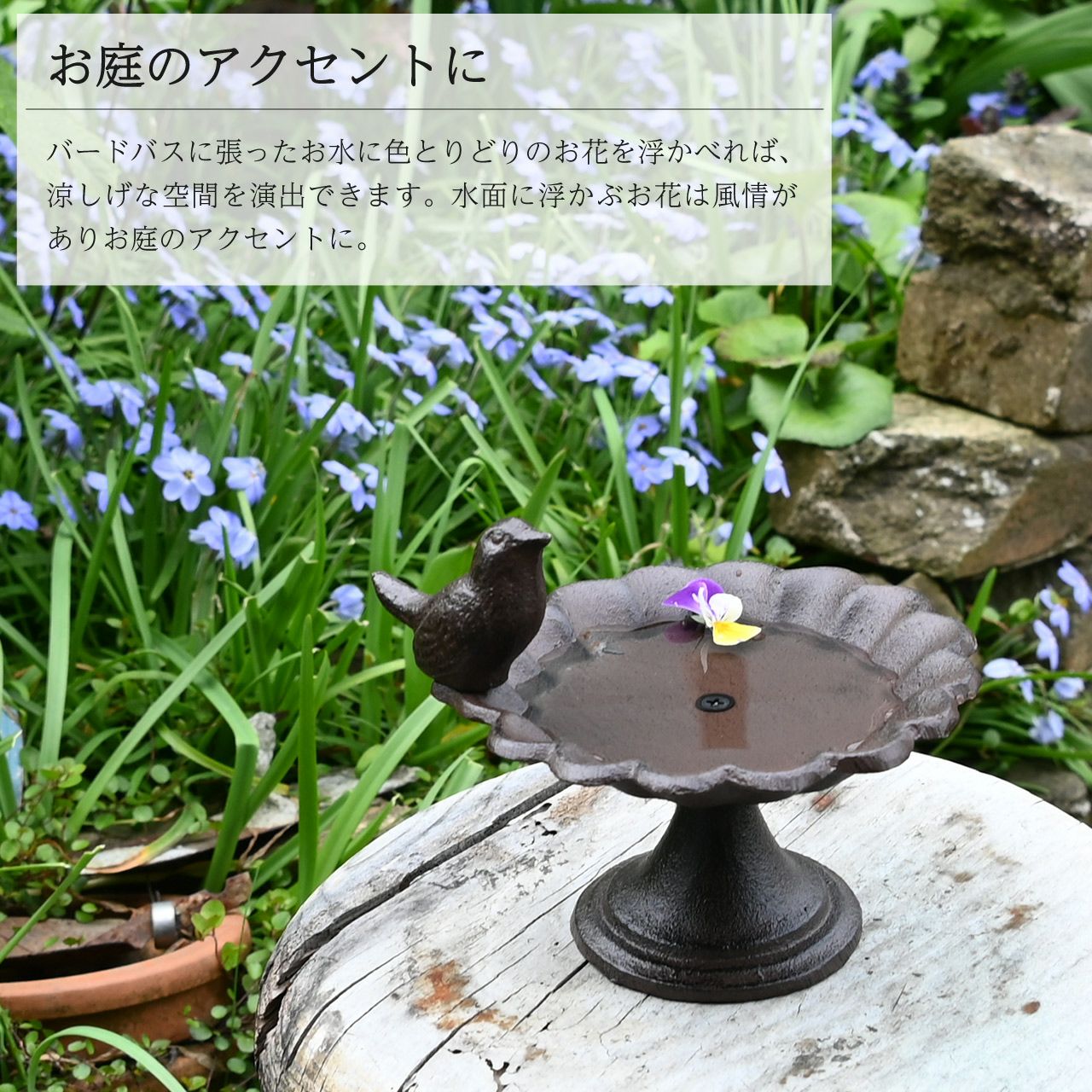 バードバス 