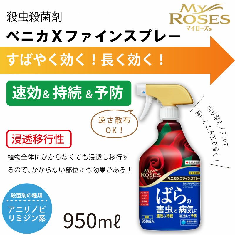 住友化学園芸 殺虫殺菌剤 マイローズ ベニカXファインスプレー 950ml 2本セット KINCHO園芸