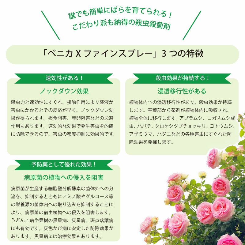 住友化学園芸 殺虫殺菌剤 マイローズ ベニカXファインスプレー 950ml 2本セット KINCHO園芸