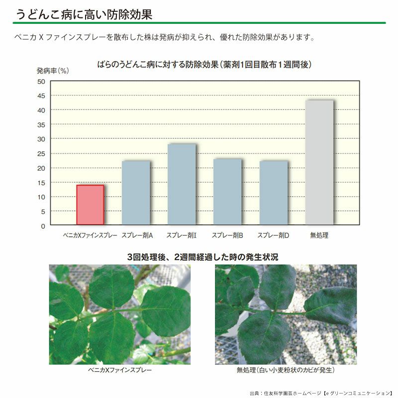 住友化学園芸 殺虫殺菌剤 マイローズ ベニカXファインスプレー 950ml 2本セット KINCHO園芸