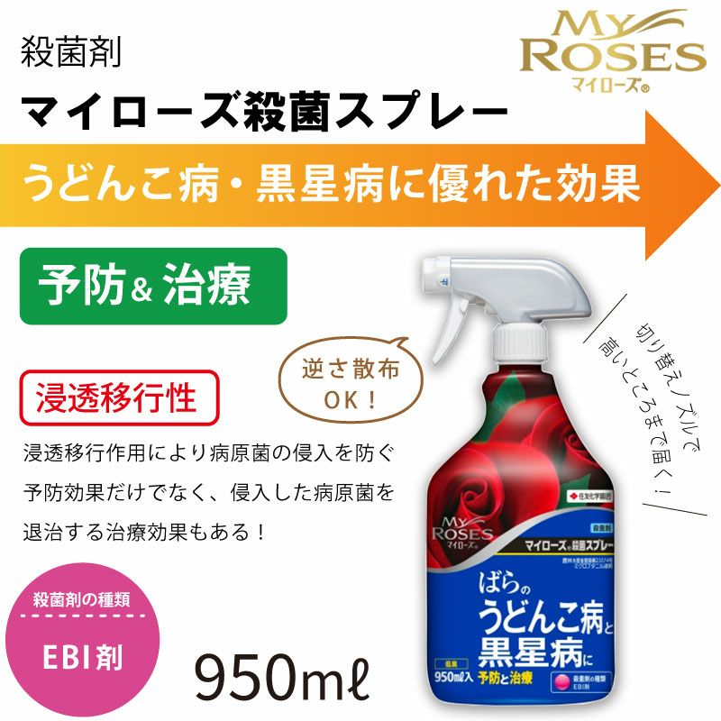 住友化学園芸 殺菌剤 マイローズ殺菌スプレー 950ml 2本セット KINCHO園芸
