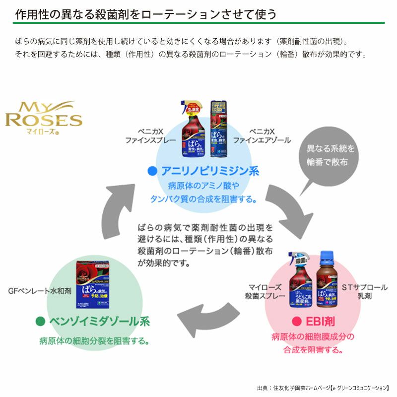 住友化学園芸 殺菌剤 マイローズ殺菌スプレー 950ml 2本セット KINCHO園芸