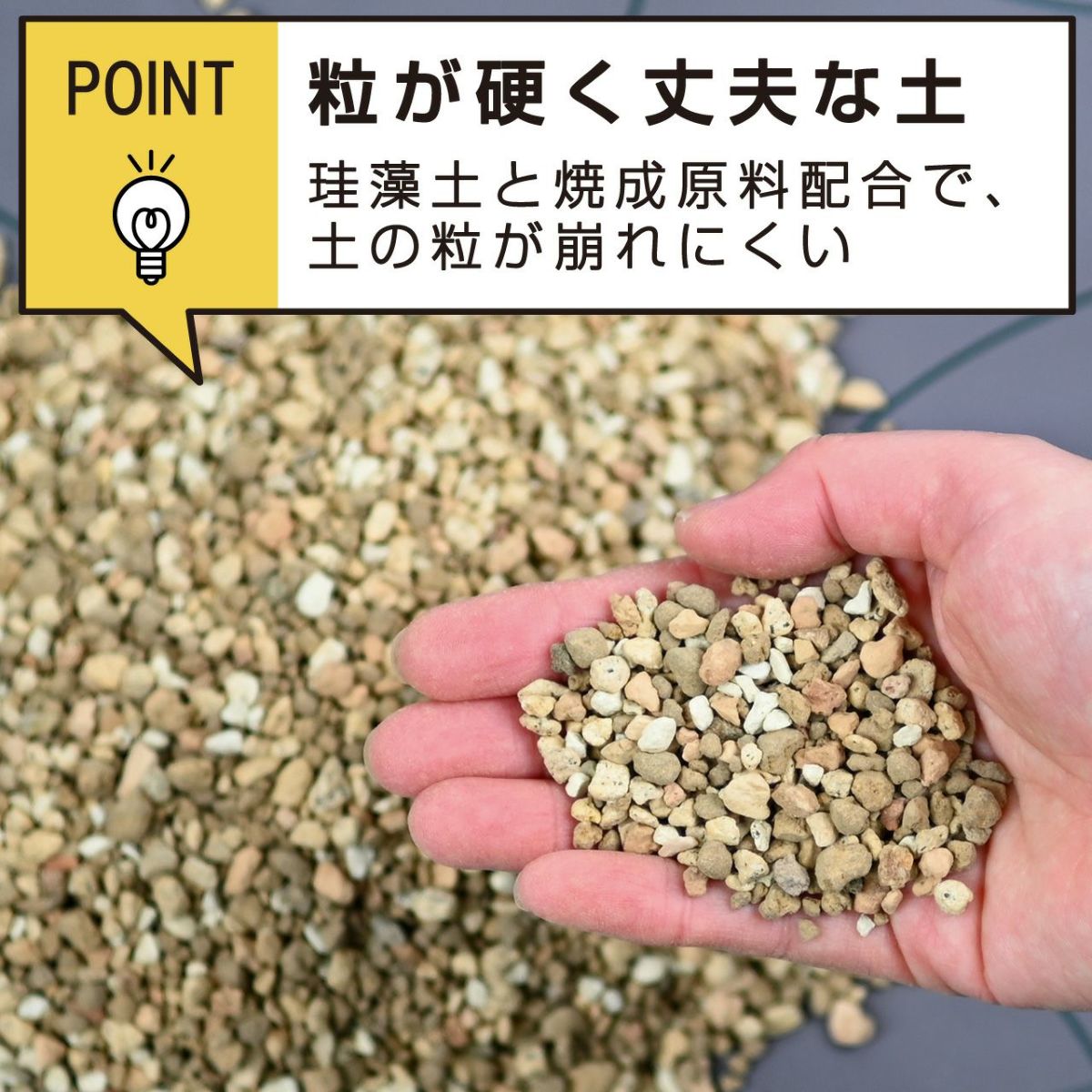 プロトリーフ 室内向け観葉・多肉の土 硬質 Premium 3.5L 8袋セット プレミアム 観葉植物 多肉 塊根 7号鉢向け