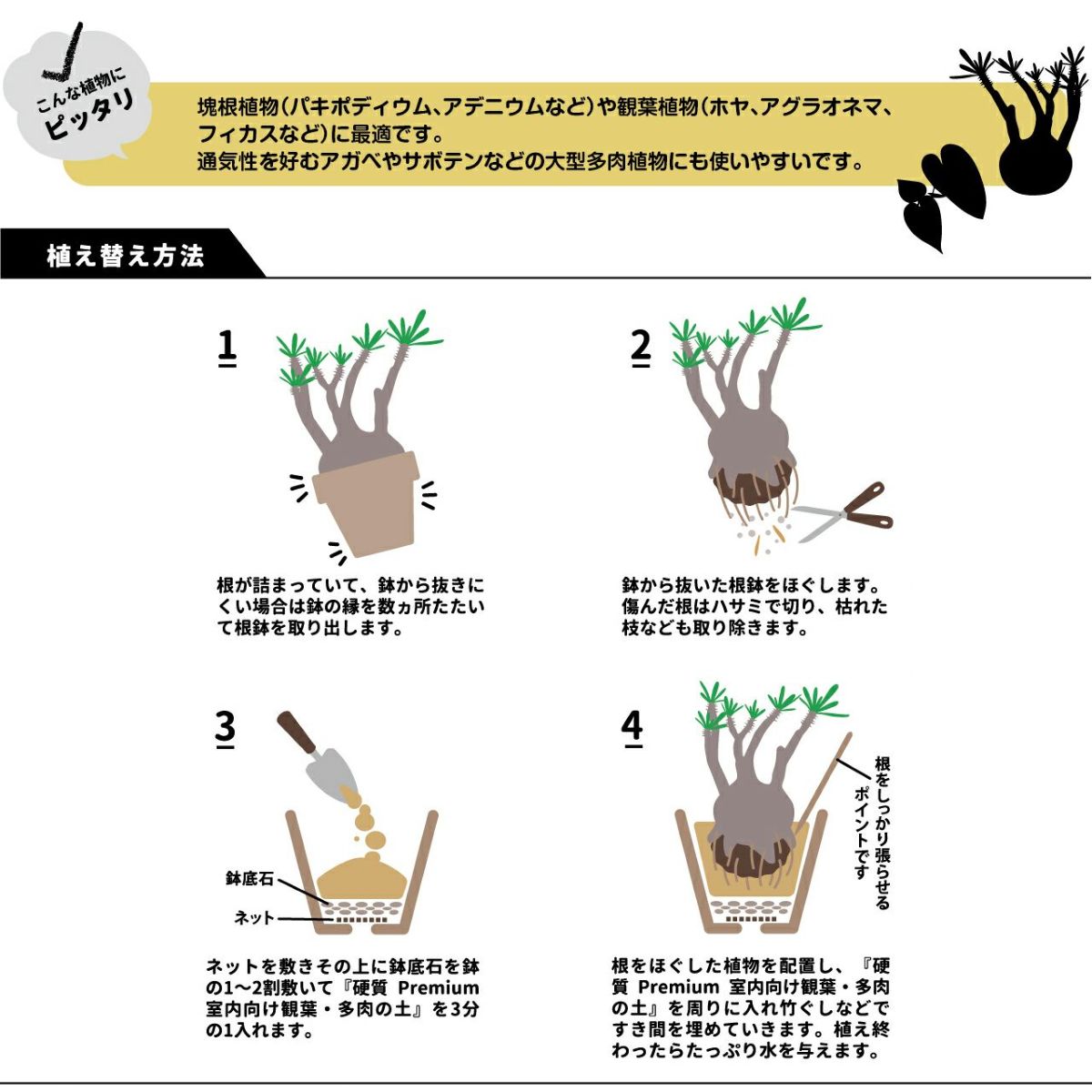 プロトリーフ 室内向け観葉・多肉の土 硬質 Premium 3.5L 8袋セット プレミアム 観葉植物 多肉 塊根 7号鉢向け