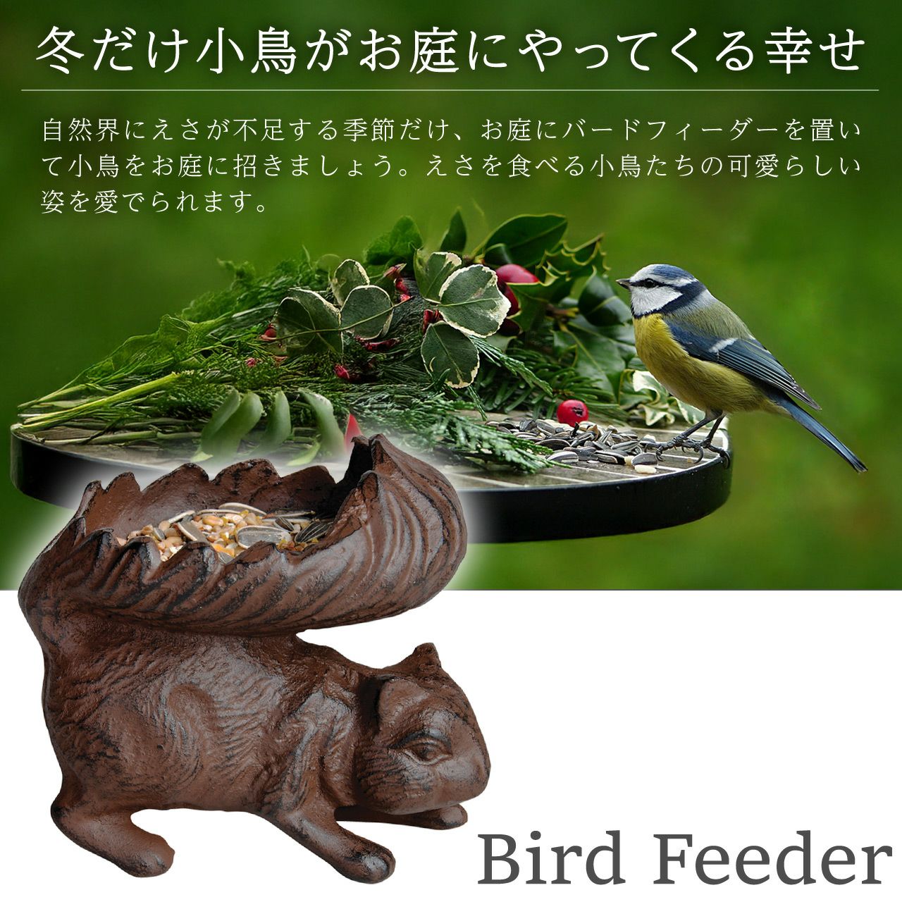 バードフィーダー リス