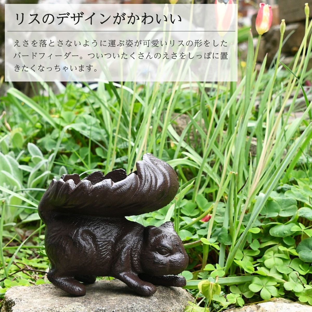 バードフィーダー リス