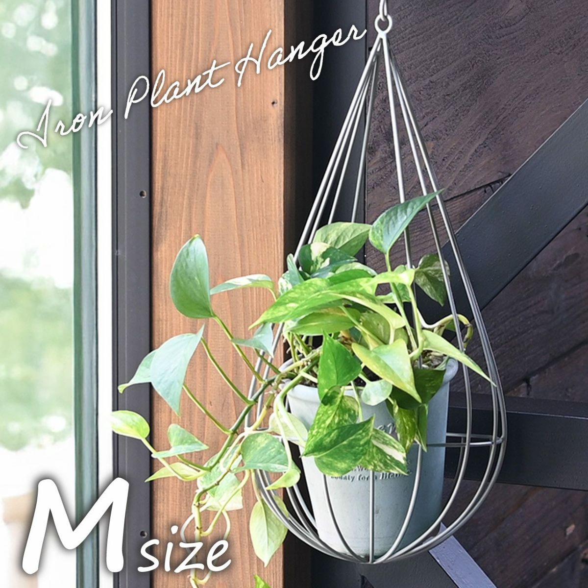 しずく型プラントハンガー Mサイズ