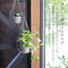 しずく型プラントハンガー Mサイズ