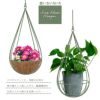 しずく型プラントハンガー Mサイズ