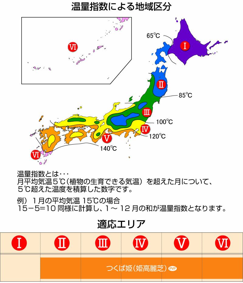 【50平米 つくば姫】 つくば姫 姫高麗芝 登録品種 張り芝用 つくば産 50平米(15坪分)