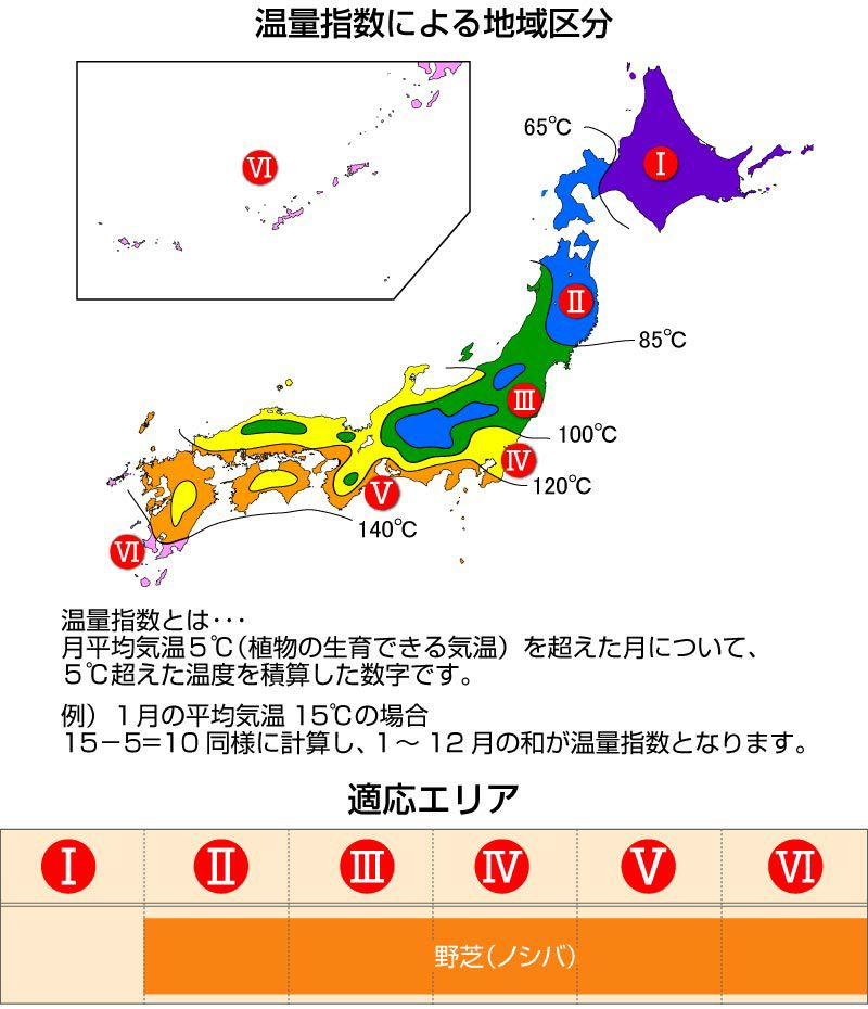 【50平米 野芝】 野芝 張り芝用 つくば産 50平米(15坪分) 