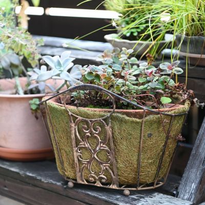 鉢・プランター・鉢カバー | 芝生のことならバロネスダイレクト